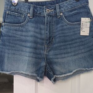 NWT Buffalo David Britton Highrise Relaxed Short Goldie Raw Hem SZ 28